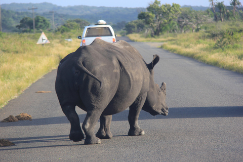 St. Lucia: Isimangaliso Wetland Park and Cape Vidal Safari