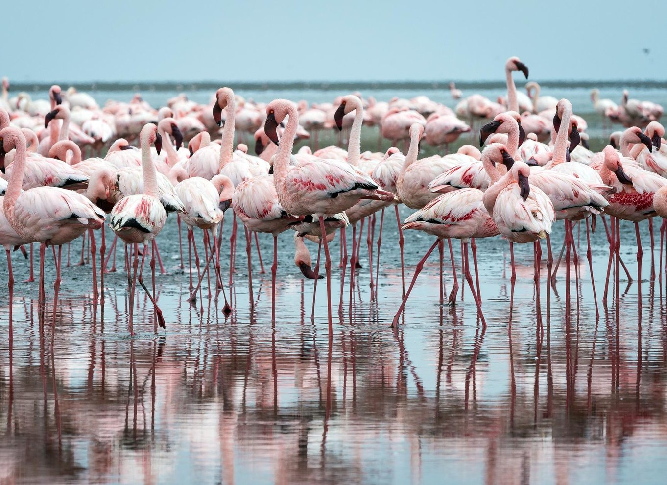Walvis Bay: 4x4 ørkenudflugt til Sandwich Harbour Bay