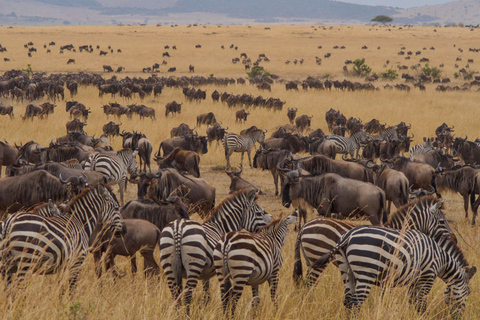 Safari de 5 dias em Tarangire, Serengeti e na cratera de Ngorongoro