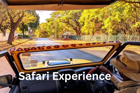 Victoria Falls: Zambezi National Park Safari Private Tour
