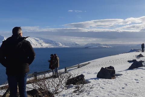 Akureyri-Siglufjörður; Half day to the arctic coastline