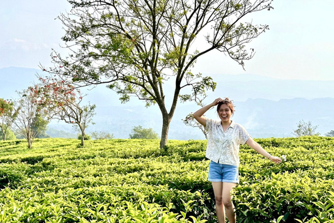 Jakarta: Bandung Waterfall, Dusun Bambu & Tea Tour From Jakarta : Private Bandung Tour