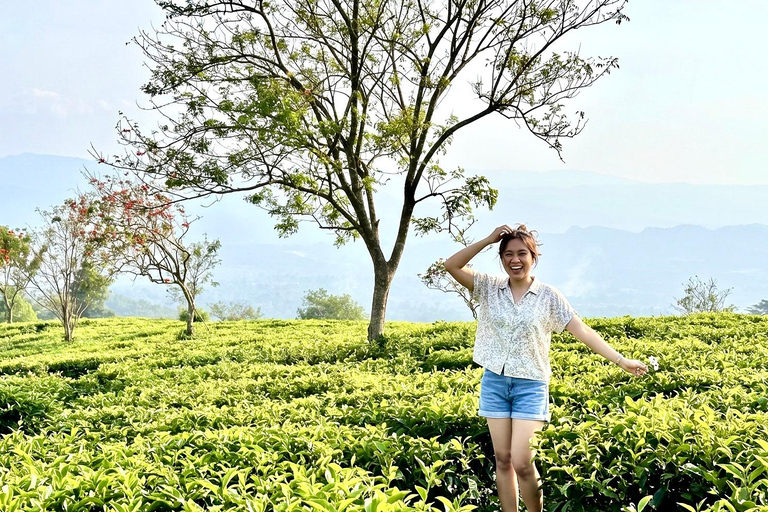 Jakarta: Bandung Waterfall, Dusun Bambu & Tea Tour From Jakarta : Private Bandung Tour