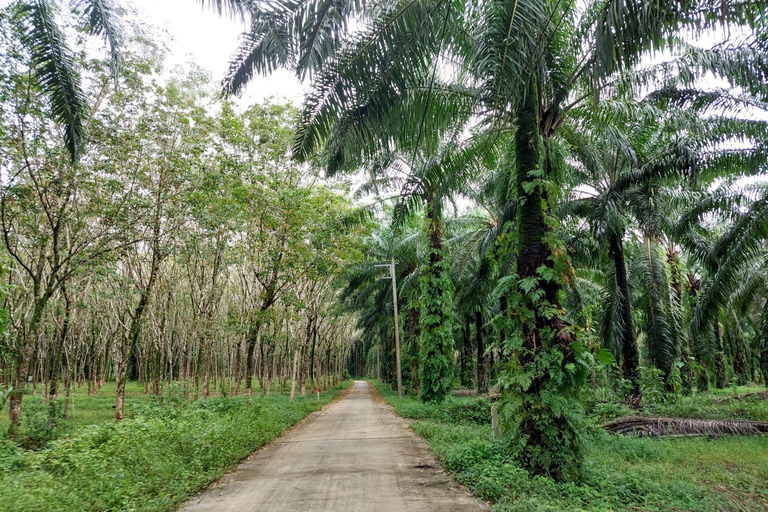 Khao Lak : excursion à vélo d'une demi-journée vers les cascades et les lacs, avec déjeunerKhao Lak : excursion à vélo d'une demi-journée vers les cascades et les lacs, avec