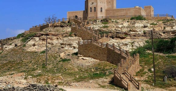 Sur: Dhow Yard, Bilad Sur Castle, & Turtle Reserve Tour