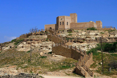 Sur: Dhow Yard, Bilad Sur Castle, & Turtle Reserve Tour