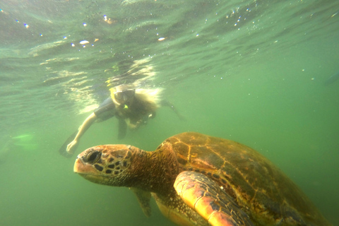 Galapagos: Wycieczka Island Hopping 7 dni - 6 nocy