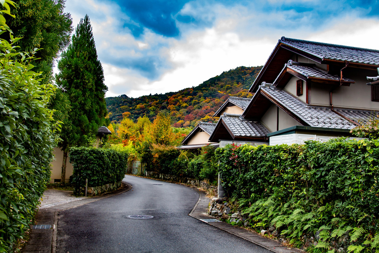 Osaka/Kyoto: Nara, Arashiyama, Fushimi Inari Taisha Day Tour Kyoto & Nara Day Tour | 8:00 AM from Osaka