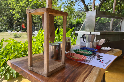 Country Coffee Farm Tour with Tasting and Lunch