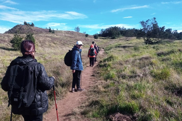 De Yogyakarta: Excursão de trekking ao nascer do sol no Monte Prau