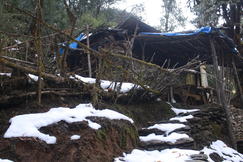 Découvrez la magie de Poon Hill : Un trek de 4 jours au départ de Pokhara