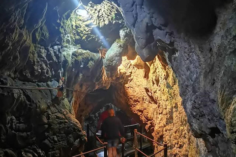 Brașov: Dracula's Castle, Bear Sanctuary, & Cave Tour