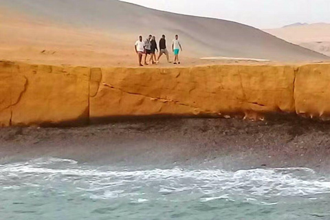 From Lima: Paracas Reserve & Nazca Lines Flight from Pisco