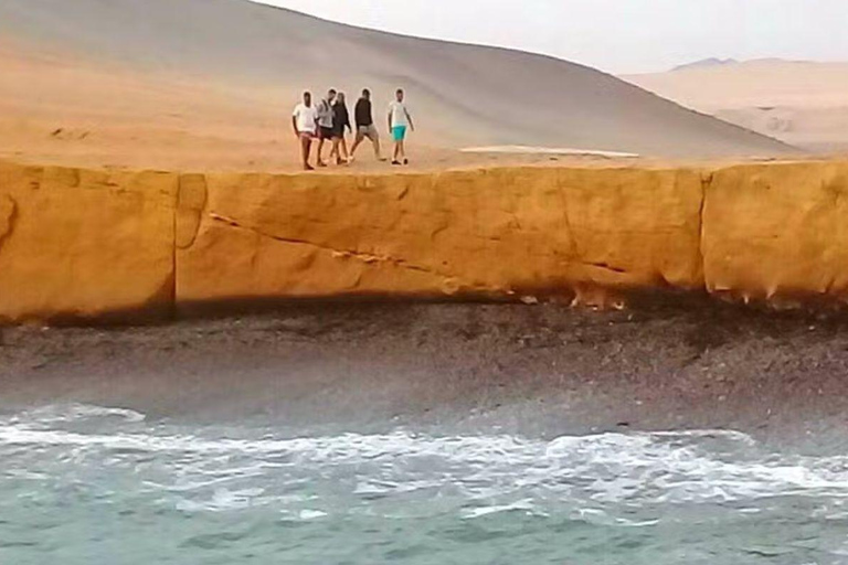 From Lima: Paracas Reserve & Nazca Lines Flight from Pisco