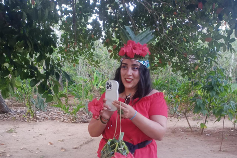 The spice farm and The city tour stone town