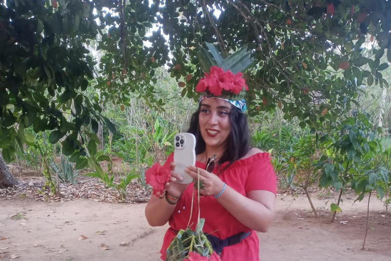 The spice farm and The city tour stone town