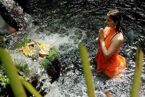 Pura Mangening: Water Temple Tour with Spiritual Cleansing Tour with Transfers to/from Central Bali