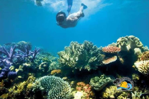 Zanzibar: Half-Day Prison Island tour with snorkeling This option includes all entrance fees ( no hotel transfer)