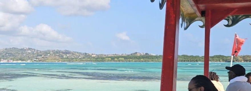 Tobago : Buccoo Reef et Nylon Pool - Tour en bateau à fond de verre