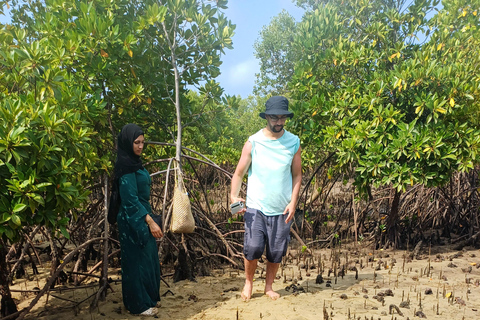 UZI ISLAND MANGROVE CONSAVATION WITH KAYAK TOUR PRIVATE TOUR WITH TRANSFER INCLUDED