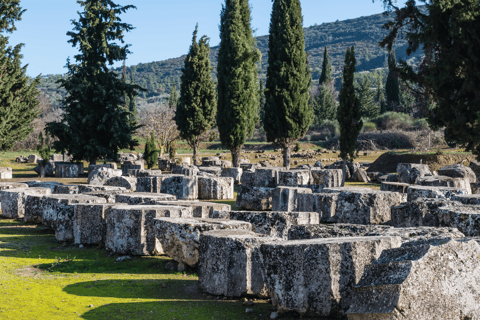 Visite privée de luxe : Sites antiques de Némée et dégustation de vin