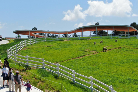 Gyeonggi: Alpaca & Sheep Ranch Admission Ticket in Gapyeong