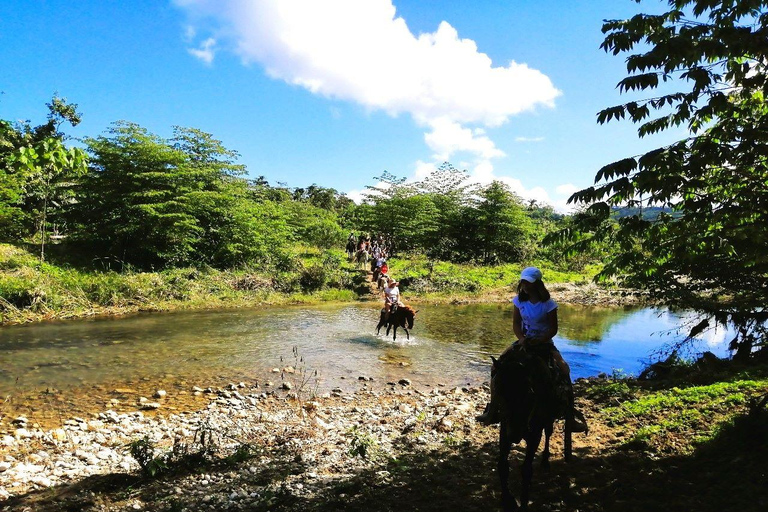 From Puerto Plata: Horseback ride along the mountain river