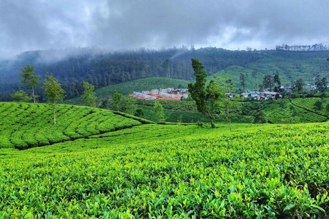 Sri Lanka: Królestwa, stacje górskie, plaże i dzika przyroda