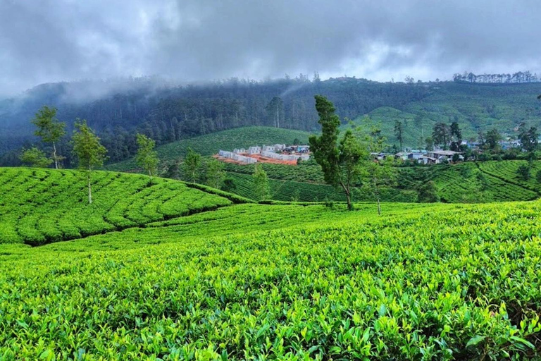 Sri Lanka: Das Land der Welterbestätten