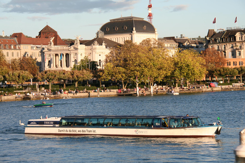 Zürich: Privat tur med guidad tur med en guide2 timmars rundtur