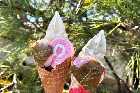 Kyoto/Nara: Must-see Spots in One Day Tour with Hotel Pickup