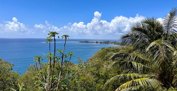 Tahiti: East or West Coast Tour (Half Day)