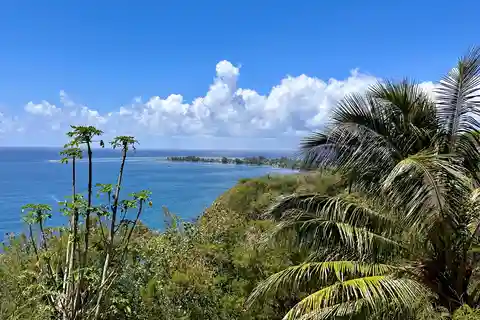 Tahiti: East or West coast tour (Half Day)