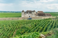 Da Beaune, gita di un giorno bordeaux con 12 degustazioni di vino - Housity