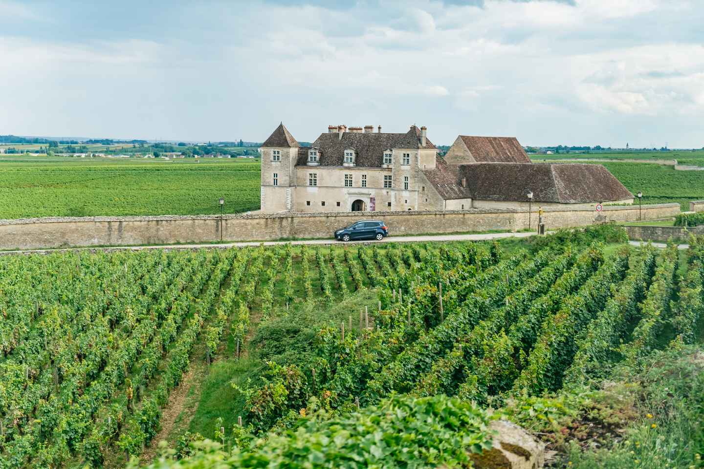 From Beaune: Burgundy Day Trip with 14 Wine Tastings