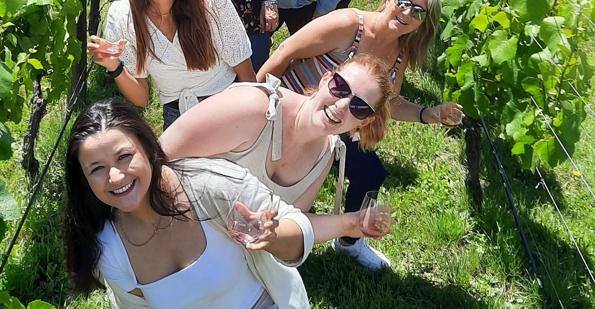 Martinborough Winery Tour - Hizvo