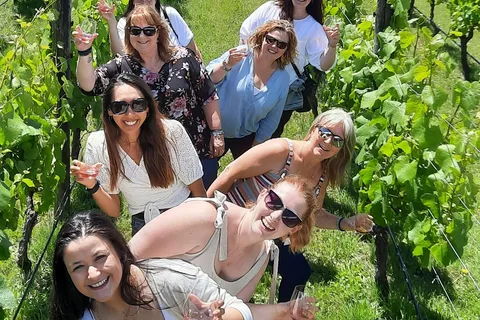 Martinborough Winery Tour