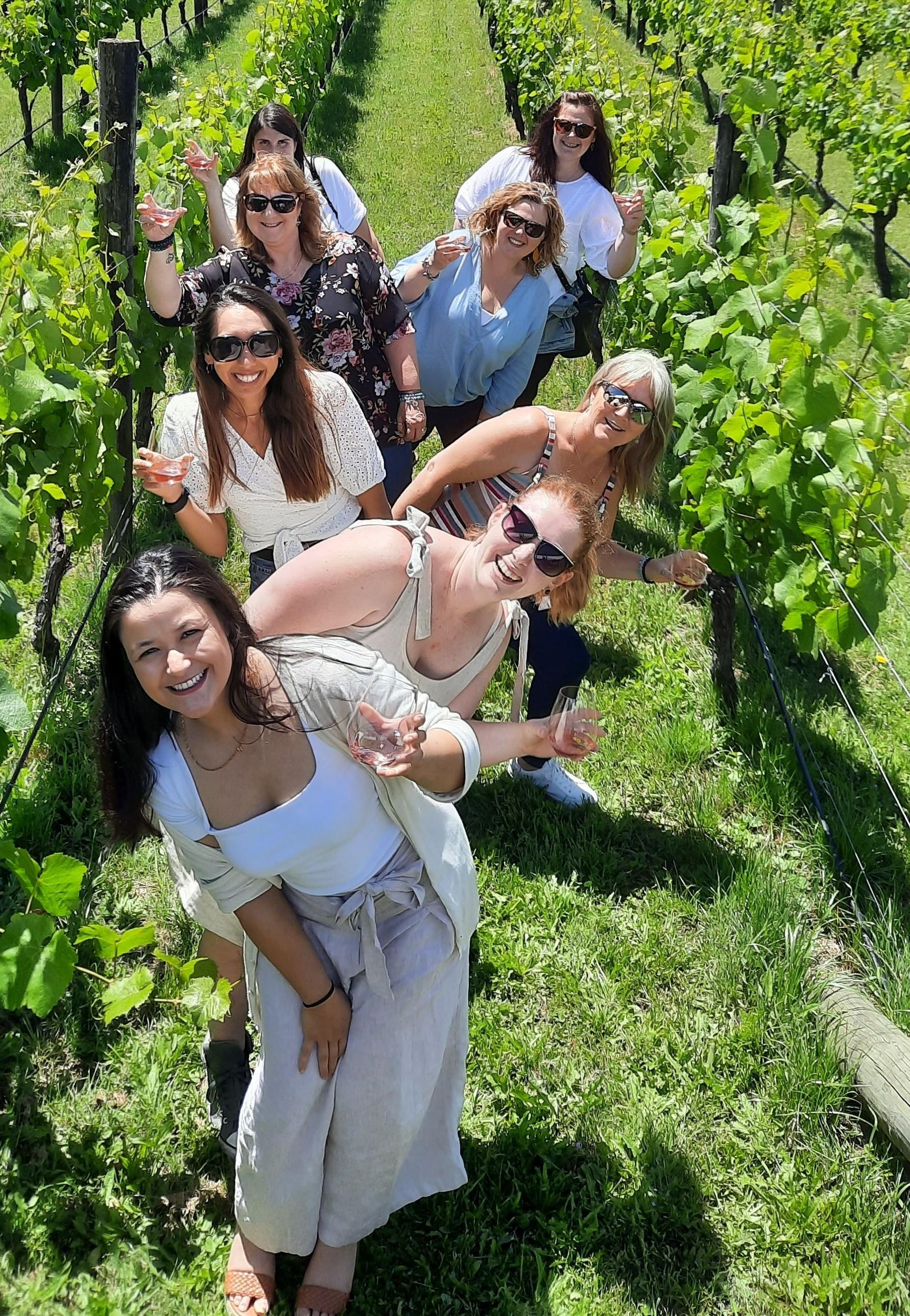 Von Wellington: Martinborough Winery Tour