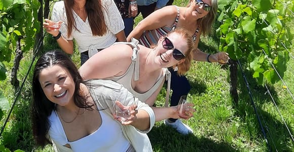 Von Wellington: Martinborough Winery Tour