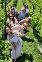 Tour de Bodegas de Martinborough - Hizvo