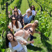 From Wellington: Martinborough Winery Tour