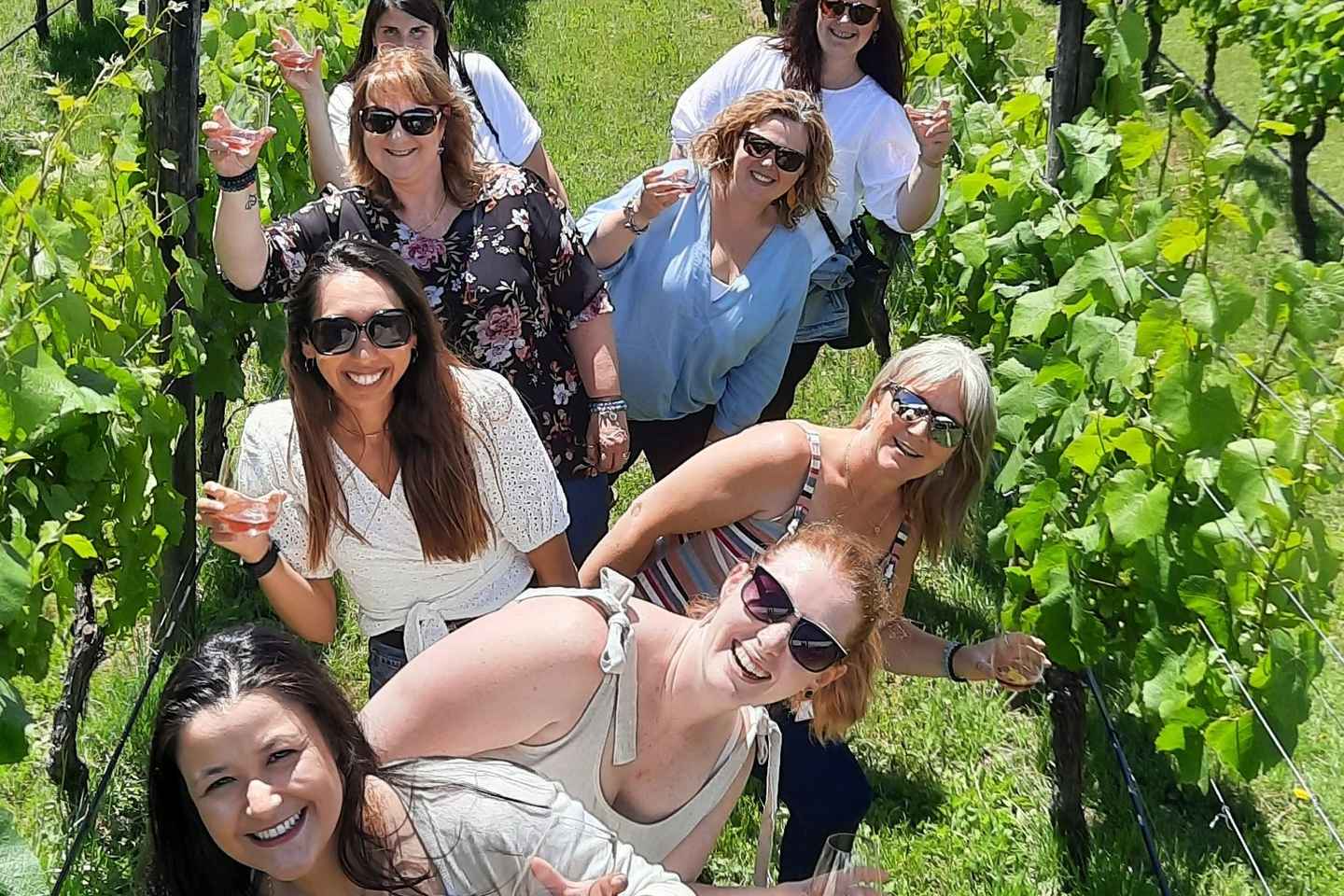 new zealand is famous for | wine