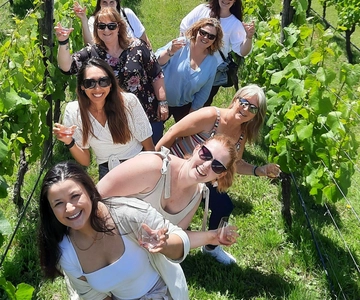 Martinborough Winery Tour