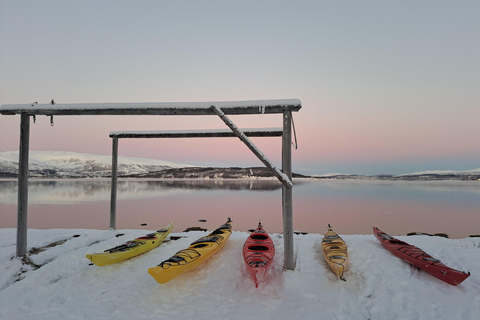 Tromsø: Easy Winter Kayaking Tour with Seal Watching