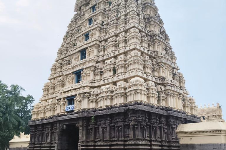 From Bangalore: Vellore Temple & Fort Private Day Trip
