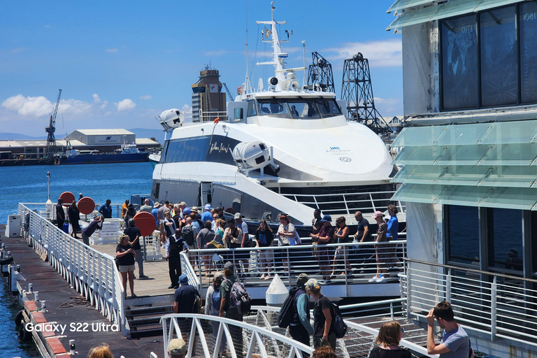 Cidade do Cabo: Experimenta as seis maravilhas da Cidade do Cabo em 3 dias