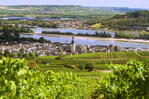 Sip Wine Along the Rhine - Grape Day out from Frankfurt
