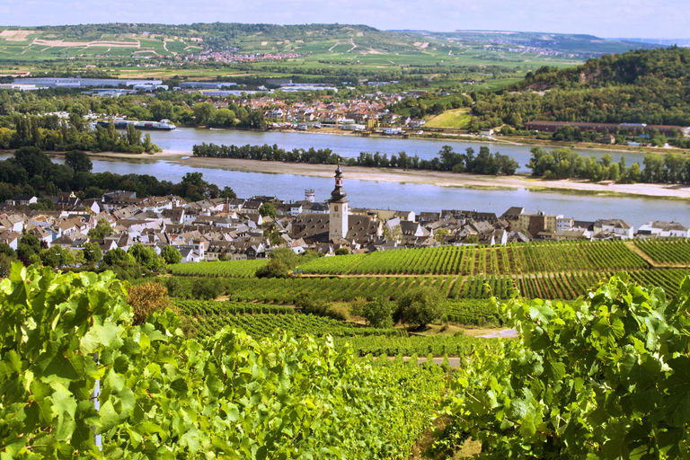 Sip Wine Along the Rhine - Grape Day out from Frankfurt