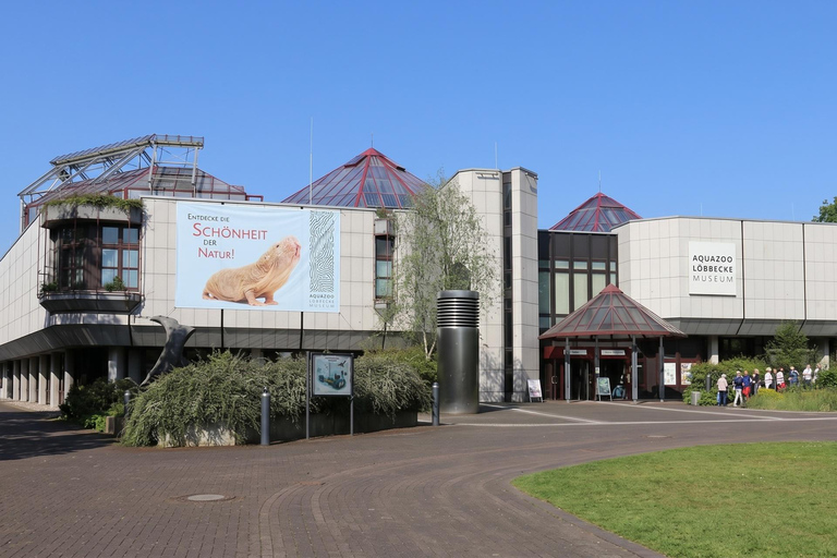 Dusseldorf Family Friendly Highlights & Aquazoo Walking Tour 2-hour: Old Town Highlights Tour