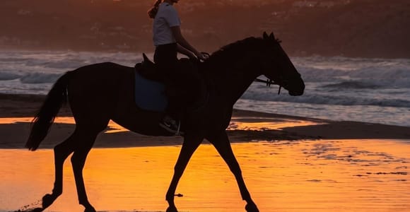 Chania: Horse Riding, Lake Kournas & Argyroupoli Waterfalls